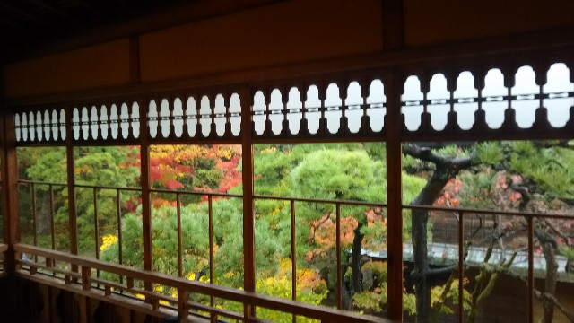 f:id:komatabi:20240216213303j:image f:id:komatabi:20240216213303j:image