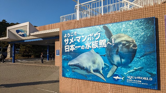 f:id:komatabi:20240302133604j:image