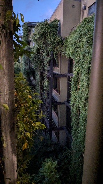 f:id:komatabi:20241012141426j:image