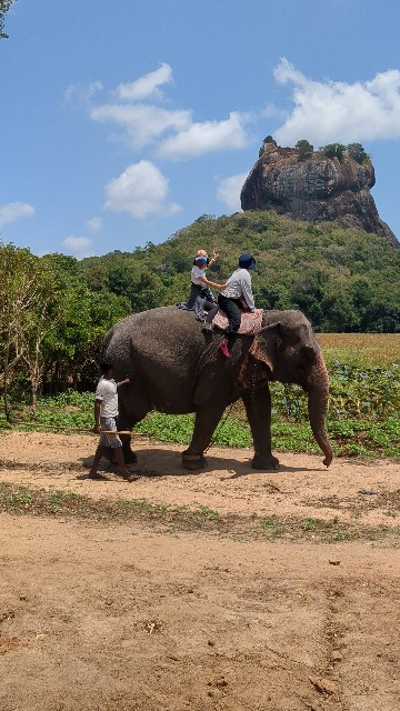 f:id:komatabi:20241013181048j:image