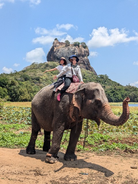 f:id:komatabi:20241013181149j:image