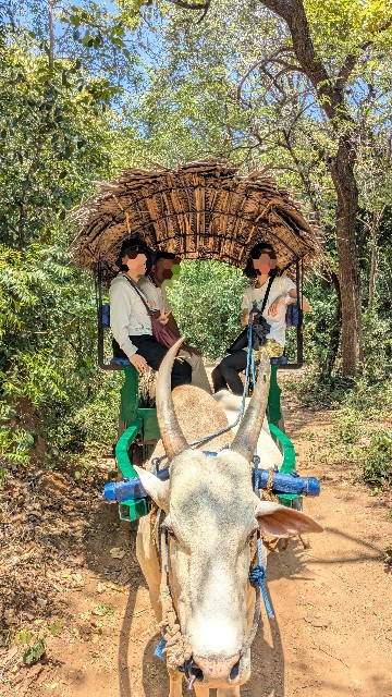 f:id:komatabi:20241013194439j:image