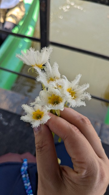 f:id:komatabi:20241014002804j:image