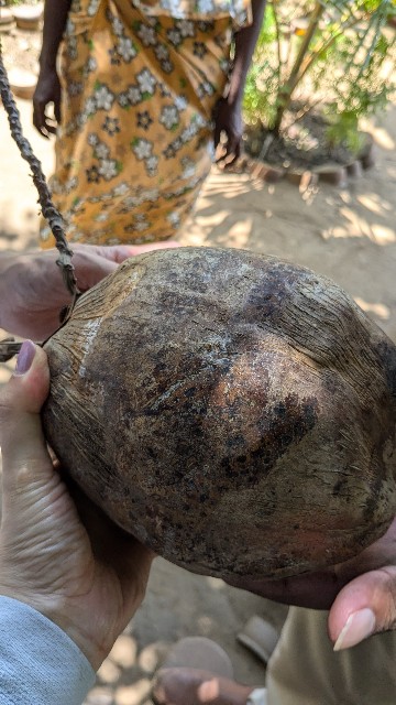 f:id:komatabi:20241014003654j:image