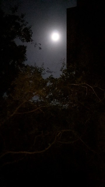 f:id:komatabi:20241014011454j:image