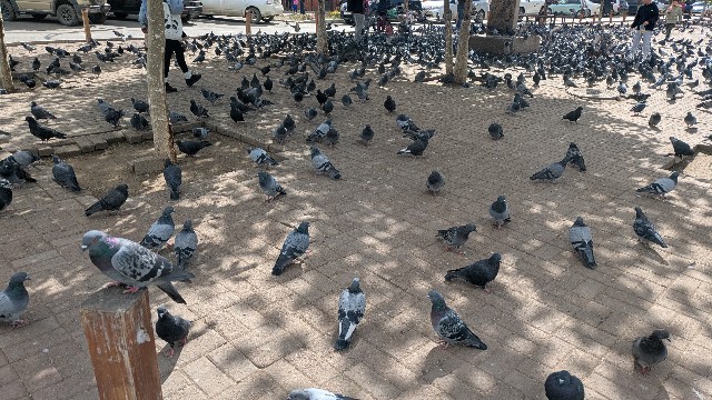 f:id:komatabi:20250928232210j:image