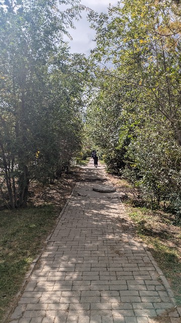 f:id:komatabi:20250928232230j:image