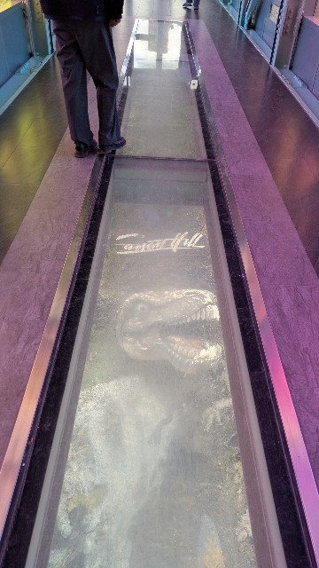 f:id:komatabi:20250928233635j:image