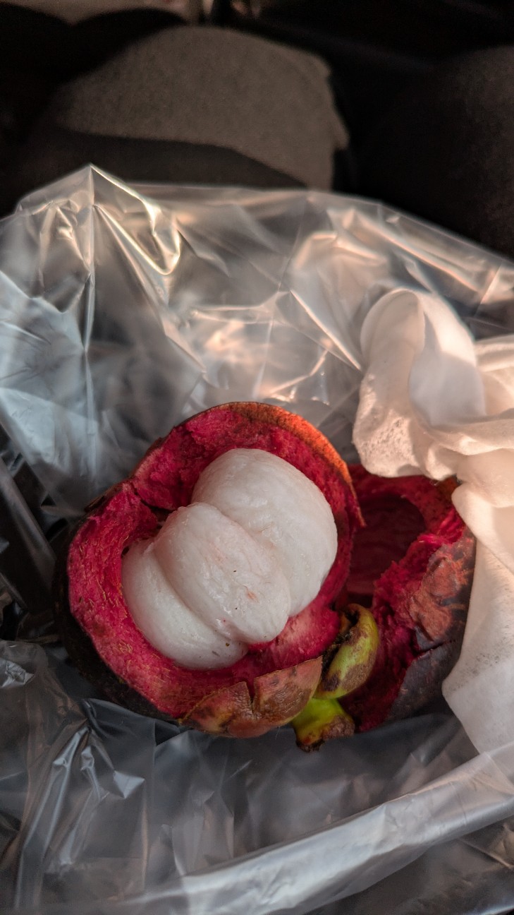 f:id:komatabi:20260118201453j:image