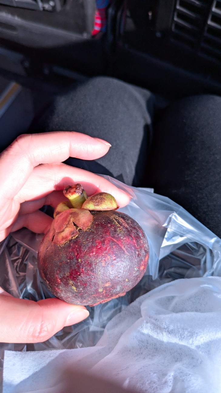 f:id:komatabi:20260118201519j:image