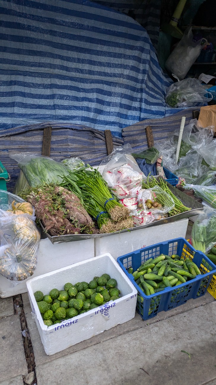 f:id:komatabi:20260118203808j:image