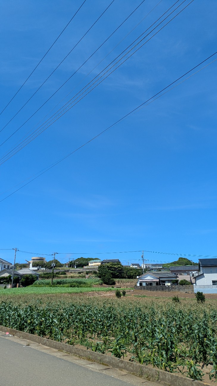 f:id:komatabi:20260720202641j:image