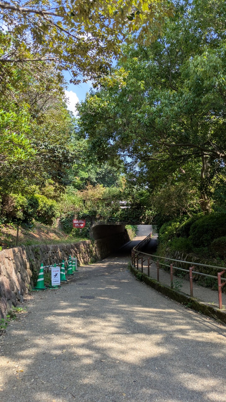 f:id:komatabi:20260801154052j:image