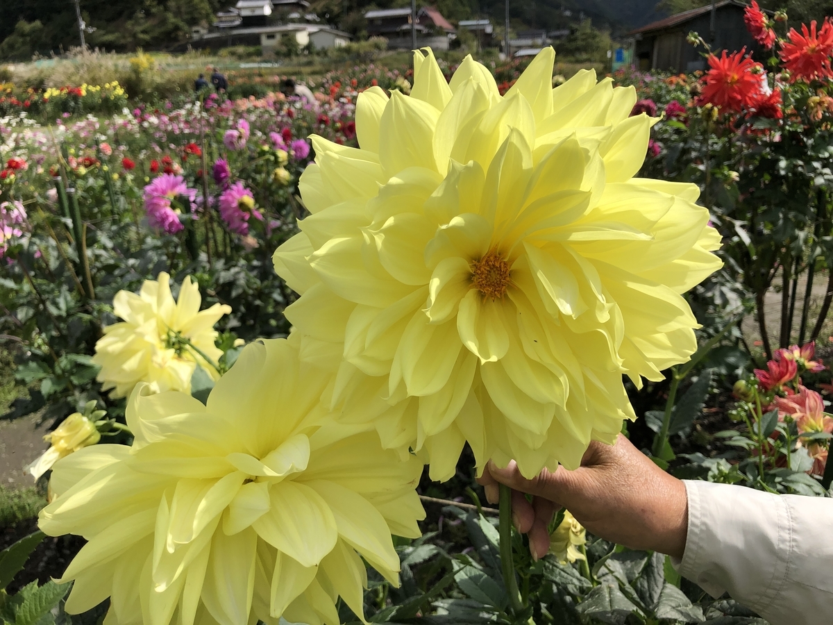 f:id:komatsuhiroko:20200221185048j:plain