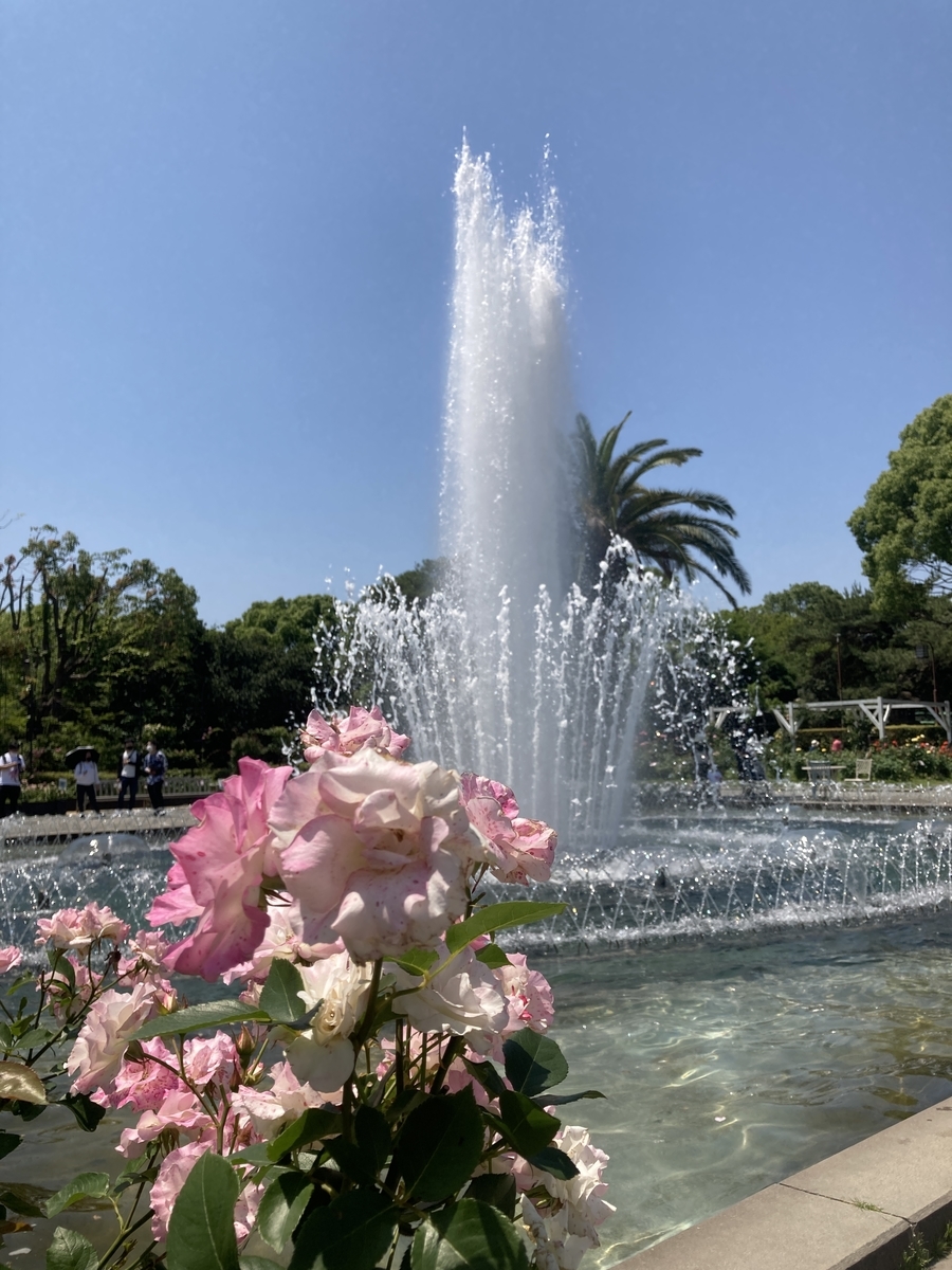f:id:komatsuhiroko:20210607180531j:plain