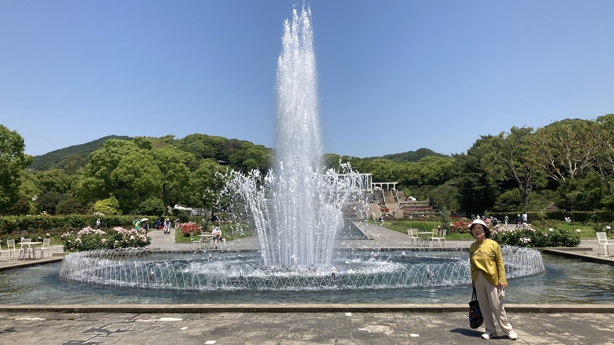 f:id:komatsuhiroko:20210607180647j:plain