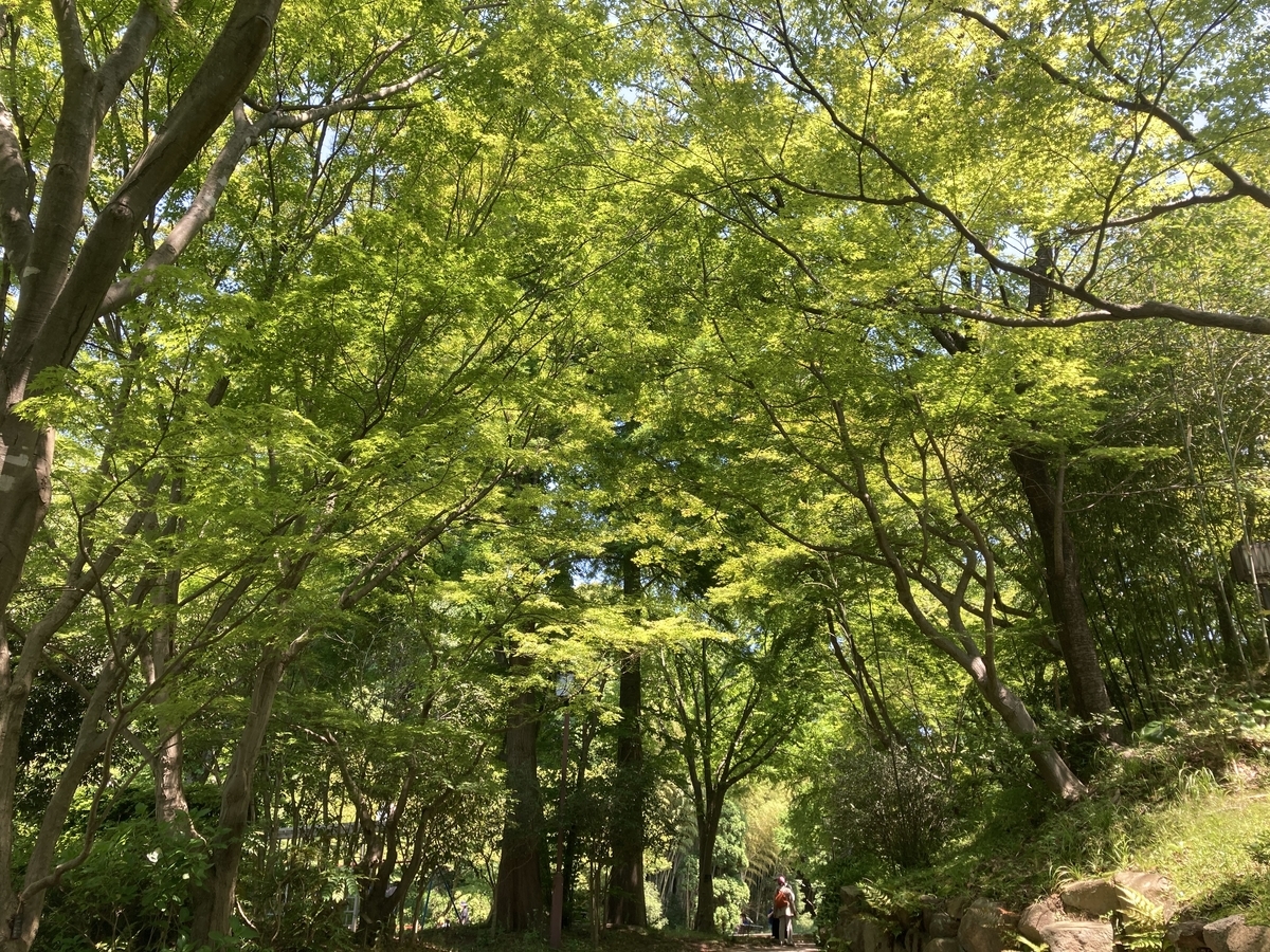 f:id:komatsuhiroko:20210607181247j:plain