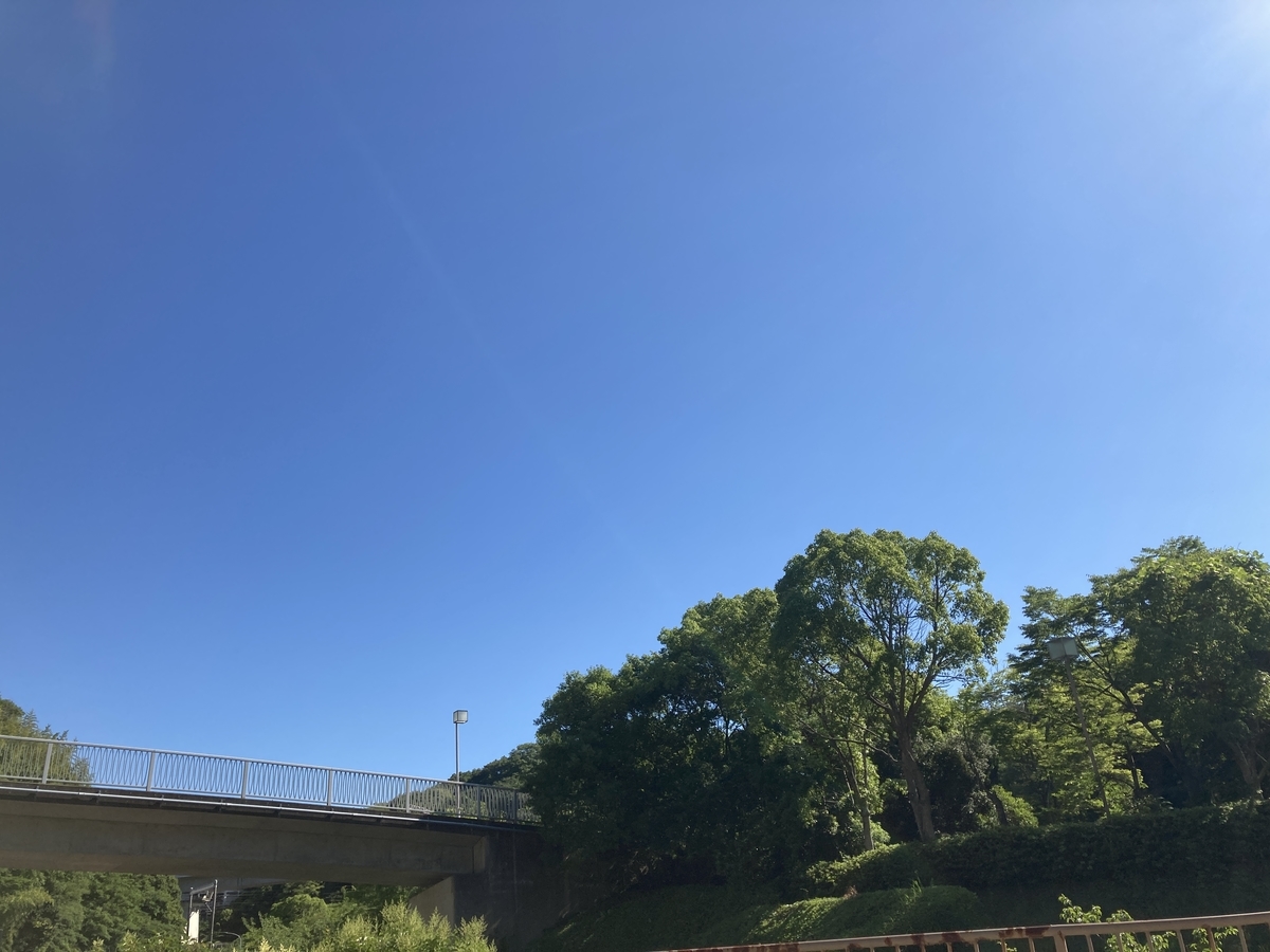 f:id:komatsuhiroko:20210624202548j:plain