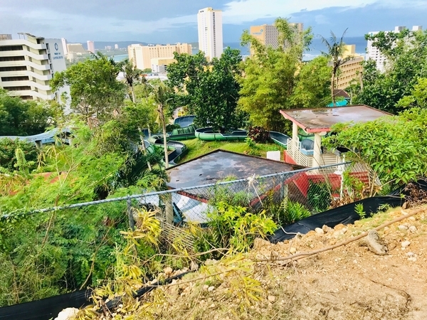 f:id:kome-musubi:20190304041938j:plain f:id:kome-musubi:20190304041938j:plain