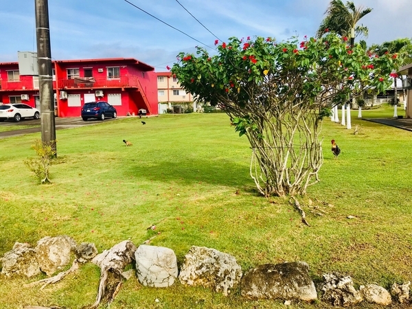f:id:kome-musubi:20190304041942j:plain f:id:kome-musubi:20190304041942j:plain