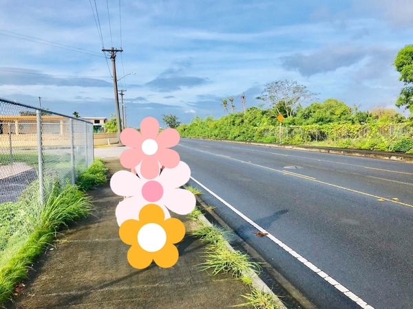 f:id:kome-musubi:20190304041946j:plain f:id:kome-musubi:20190304041946j:plain