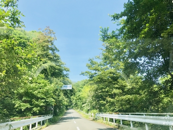 f:id:kome-musubi:20190808135319j:plain f:id:kome-musubi:20190808135319j:plain