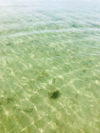 f:id:kome-musubi:20191127154505j:plain f:id:kome-musubi:20191127154505j:plain