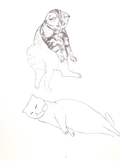f:id:kome-musubi:20191209193057j:image