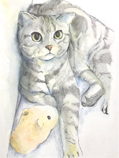 f:id:kome-musubi:20191220002737j:image f:id:kome-musubi:20191220002737j:image