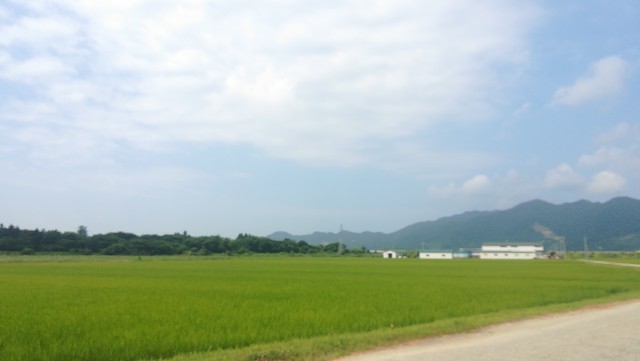 f:id:kome-shuhu:20180729002014j:image