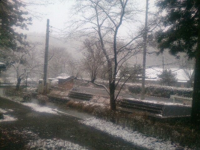 f:id:komeko-aoi:20161228133643j:plain f:id:komeko-aoi:20161228133643j:plain