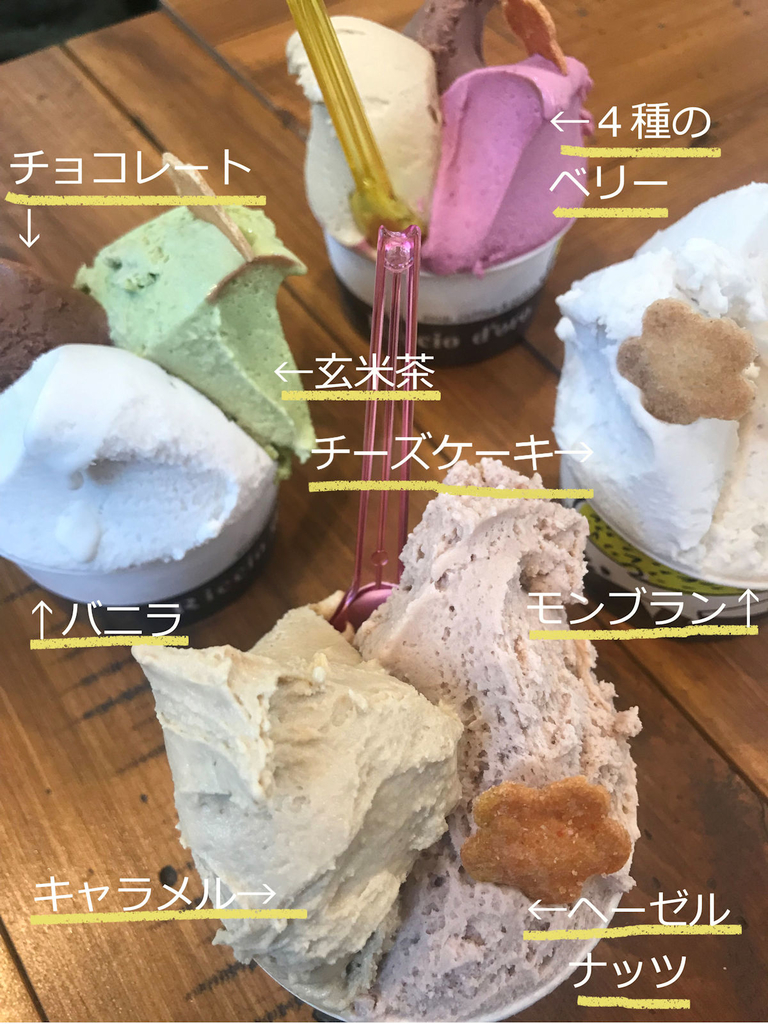 f:id:komekomama:20190227111541j:plain
