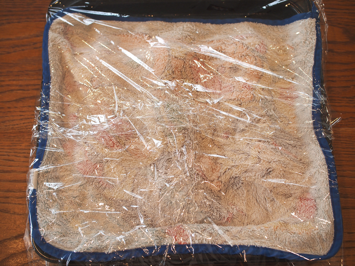 f:id:komekomama:20190719145429j:plain