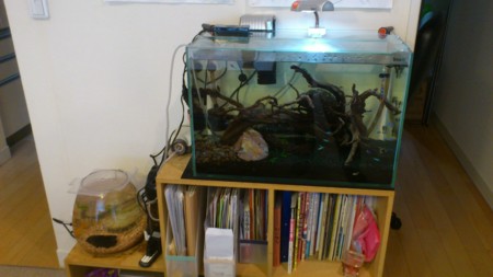 f:id:komekomesan:20120421134429j:image f:id:komekomesan:20120421134429j:image