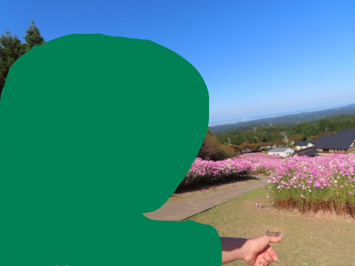 f:id:komemi79:20210428154252j:plain