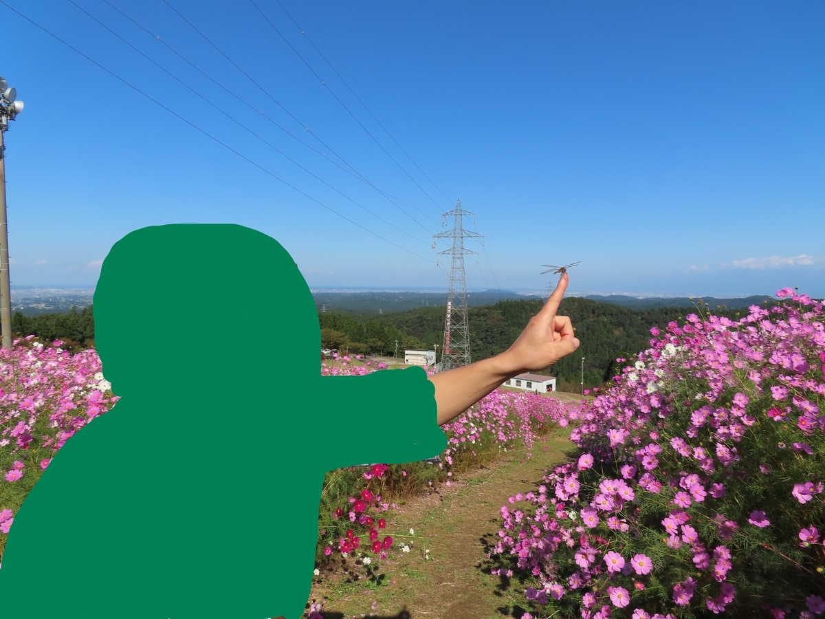 f:id:komemi79:20210428154315j:plain