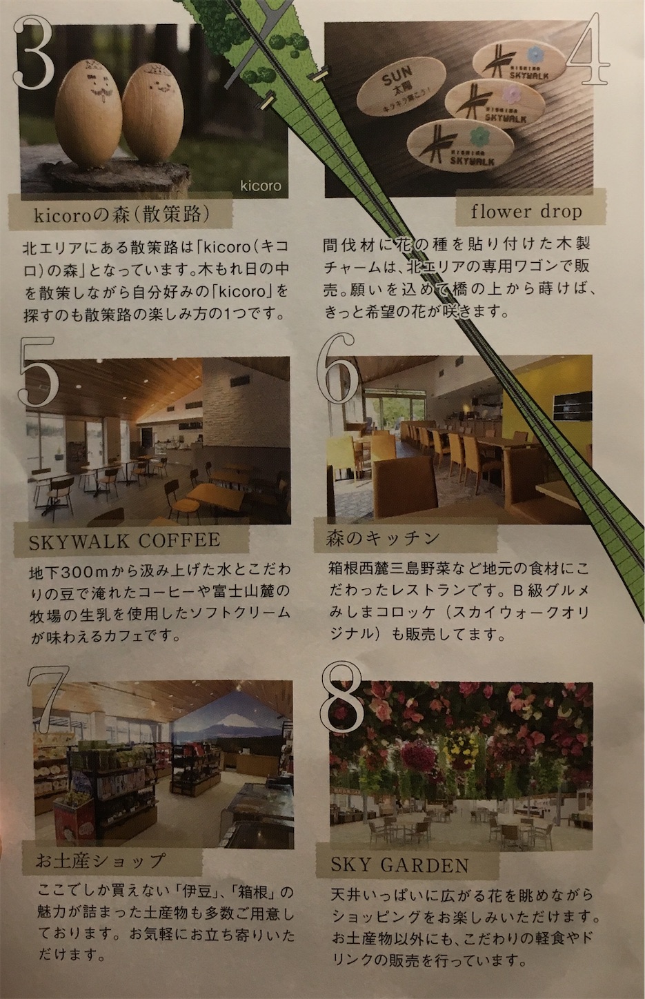 f:id:kometika:20180624141338j:image f:id:kometika:20180624141338j:image
