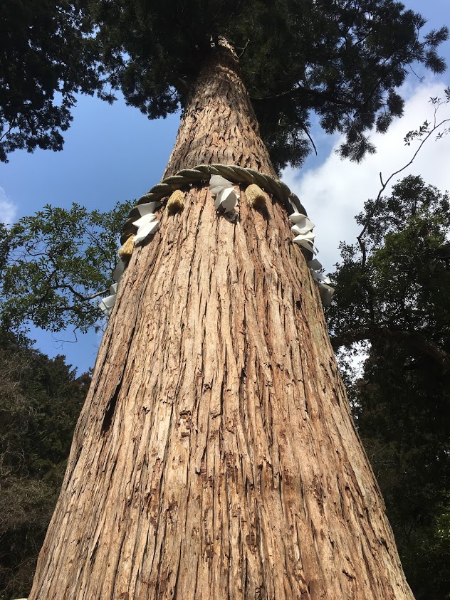 f:id:kometika:20190302133332j:plain f:id:kometika:20190302133332j:plain