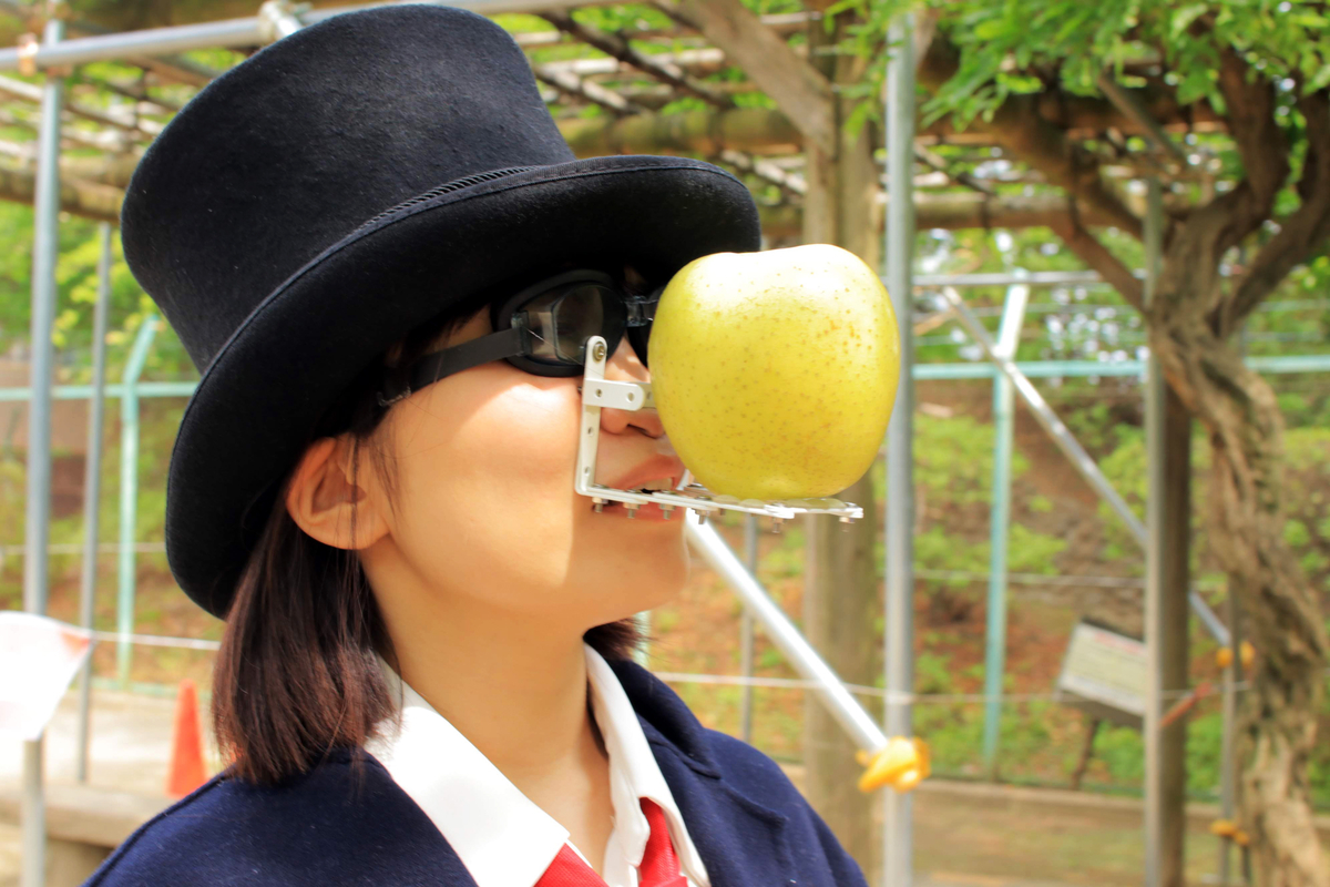f:id:komeumeko:20190828182201j:plain f:id:komeumeko:20190828182201j:plain
