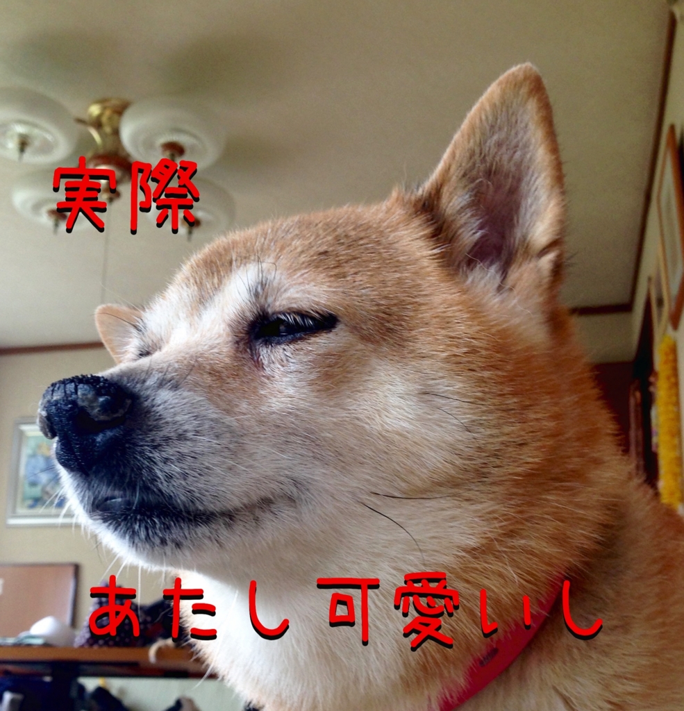 f:id:komgon:20160916103605j:plain f:id:komgon:20160916103605j:plain