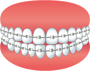 Orthodontics