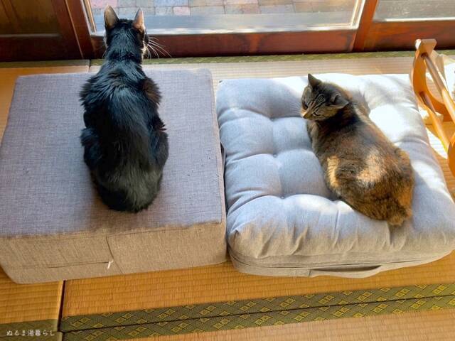 high-back-chair9