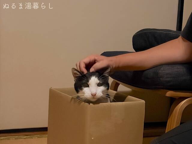 yukihira-pot11