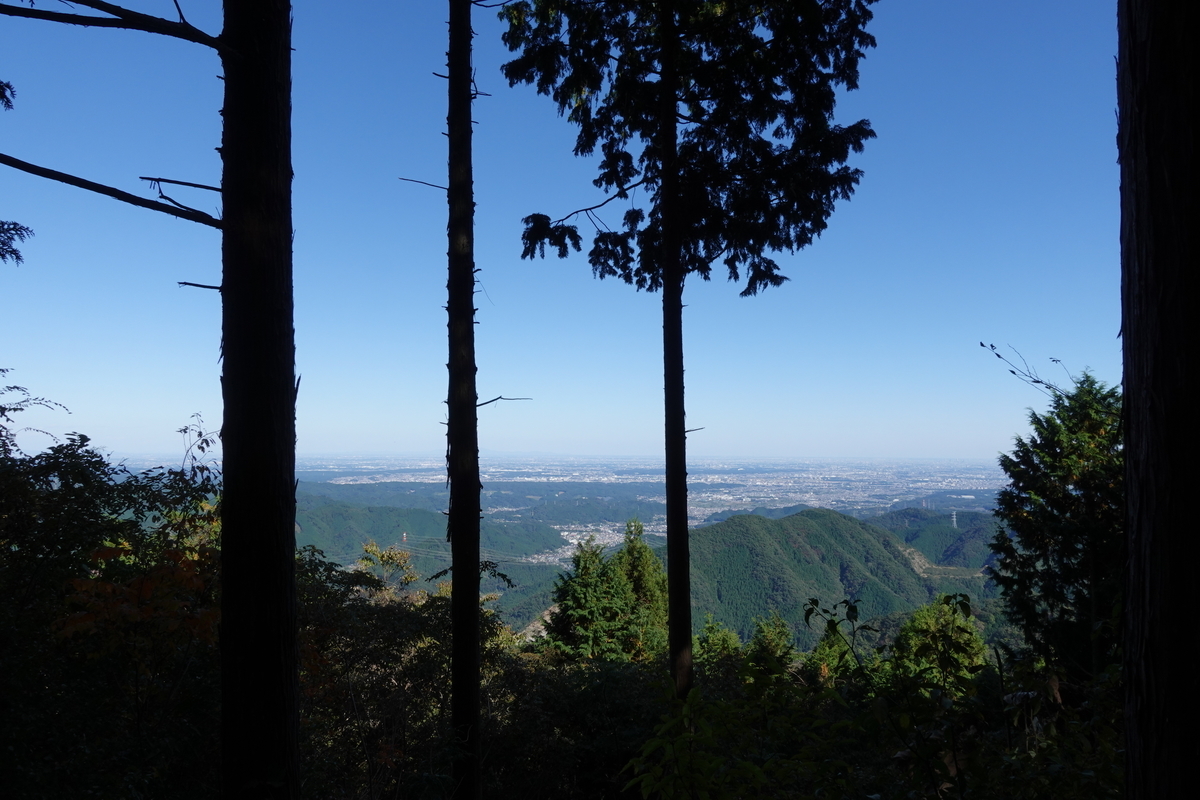 f:id:komo-jp:20201026221354j:plain