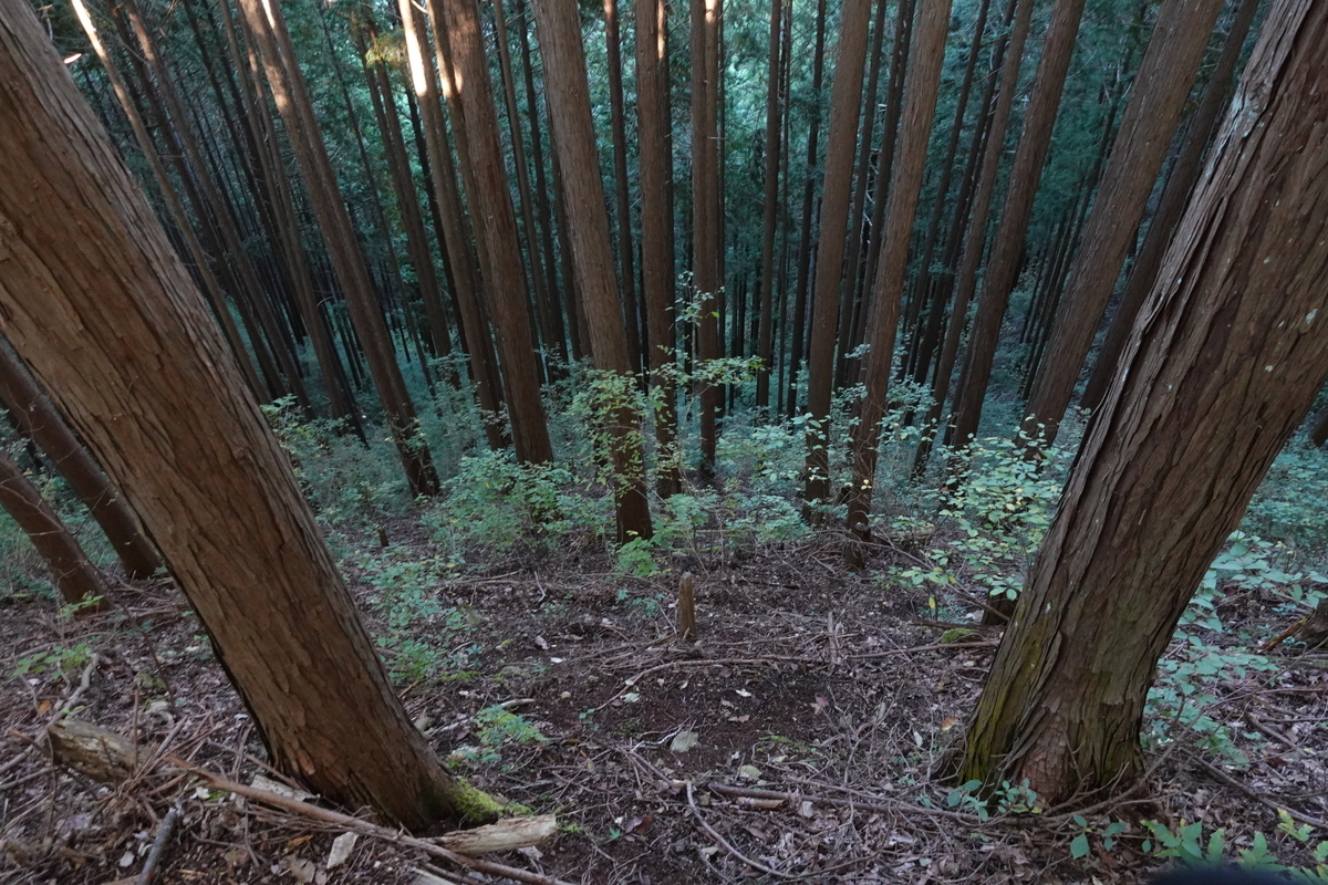 f:id:komo-jp:20201026221457j:plain