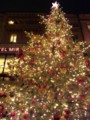 ミッキーが飾り付けたX'masTree☆彡