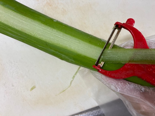 土佐田舎寿司 前編 りゅうきゅう寿司とみょうが寿司 アキオカ家のトラベルごはん