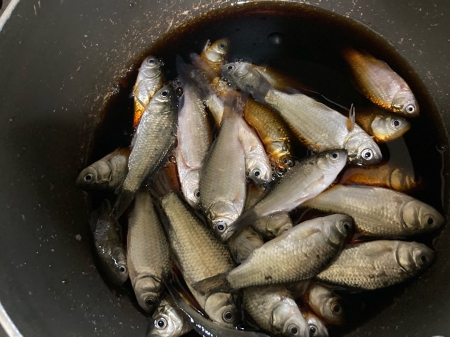 【小鮒の甘露煮】ごはんのおともやおつまみに!長野・佐久の郷土料理 - アキオカ家のトラベルごはん