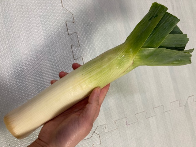 ウェールズ リーキ ポロネギ で作るカウルケニン アキオカ家のトラベルごはん