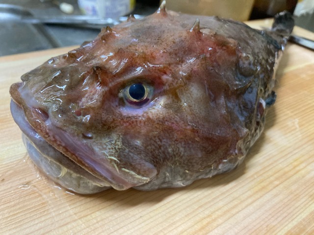 富山 アンコウみたいな美味しさ ガンコの味噌鍋 アキオカ家のトラベルごはん